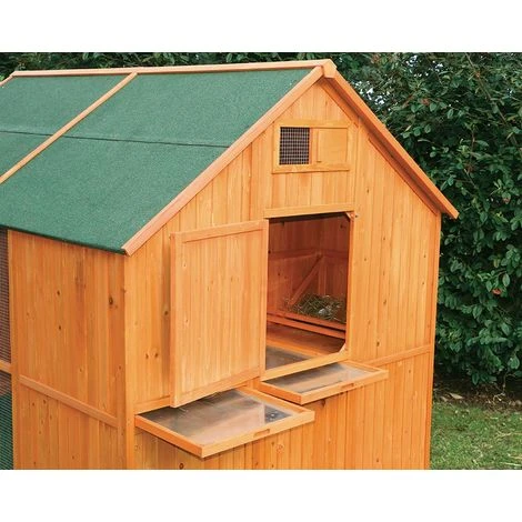 FERME DE BEAUMONT Poulailler Norway 2 FERME DE BEAUMONT Poulailler Norway – Image 2