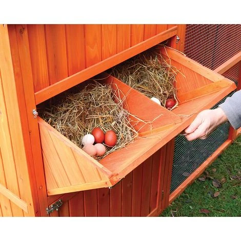 FERME DE BEAUMONT Poulailler Norway 4 FERME DE BEAUMONT Poulailler Norway – Image 4