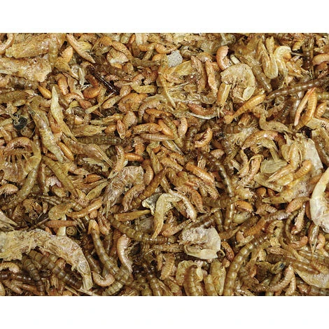 FERME DE BEAUMONT Mix Spécial Palmipèdes 2,5 Litres (300 Gr) 2 FERME DE BEAUMONT Mix Spécial Palmipèdes 2,5 Litres (300 Gr) – Image 2