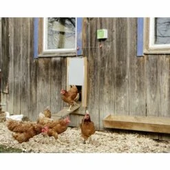 Automatisme Pour Porte De Poulailler - 24 X 16 X 11 Cm Kerbl -Polire Soldes Boutique 11194008 5