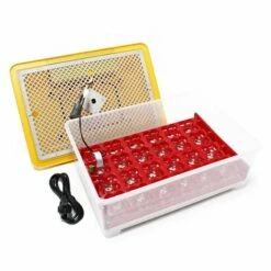 WILTEC Couveuse Automatique 24 Oeufs Appareil à Couver Incubateur Volaille Eleveurs 7 WILTEC Couveuse Automatique 24 Oeufs Appareil à Couver Incubateur Volaille Eleveurs -Polire Soldes Boutique 1207870 3