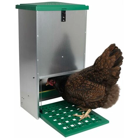 Mangeoire Automatique Pour Poules - 5 Kg Feedomatic 2 Mangeoire Automatique Pour Poules - 5 Kg Feedomatic – Image 2