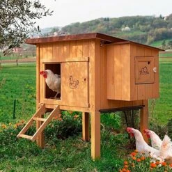 Ferplast HEN HOUSE 10 Maisonnette Pour Poules En Bois De Pin Nordique. Variante HEN HOUSE 10 - Mesures: 124 X 98 X H 110 Cm - -Polire Soldes Boutique 13458173 4