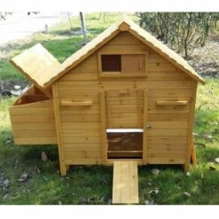 POULAILLER DIRECT Poulailler Bassette Xl 6 À 8 Poules Toit Bois -Polire Soldes Boutique 13510110 4