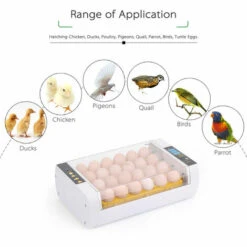 ASUPERMALL Incubateur Automatique Pour Oeufs, Ac220V, (Peut Regarder La Video) -Polire Soldes Boutique 14635315 4