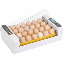 ASUPERMALL Incubateur Automatique Pour Oeufs, Ac220V, (Peut Regarder La Video) -Polire Soldes Boutique 14635315 5
