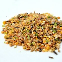 GASCO Repas Complet Spécial Ponte Pour Poules, Avec Distributeur Intégré -Polire Soldes Boutique 15622515 3