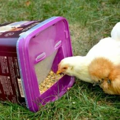 GASCO Repas Complet Spécial Ponte Pour Poules, Avec Distributeur Intégré -Polire Soldes Boutique 15622515 5