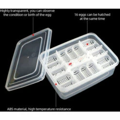 ASUPERMALL Boite D'Elevage De Reptiles, Avec Thermometre 9 ASUPERMALL Boite D'Elevage De Reptiles, Avec Thermometre -Polire Soldes Boutique 16365678 5