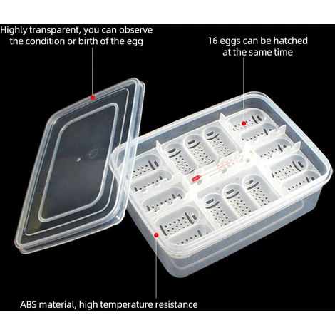 ASUPERMALL Boite D'Elevage De Reptiles, Avec Thermometre 5 ASUPERMALL Boite D'Elevage De Reptiles, Avec Thermometre – Image 5