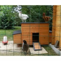 ONYX Pondoir Pour Poulailler Sussex L Et Xl 2 Places Bois Fsc -Polire Soldes Boutique 18991368 3