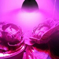 18LEDs Lampe De Plante Intérieur Ampoule De Croissance Pour Végétation Hydroponique Ou En Serre 8W E27 LangRay -Polire Soldes Boutique 19140229 5