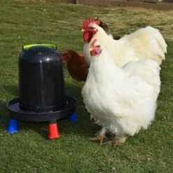POULAILLER DIRECT Abreuvoir Volailles À Pieds En Plastique Recyclé Eco 10l -Polire Soldes Boutique 19267400 5
