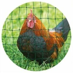 AKO AGRARTECHNIK Filet à Volailles 25m Simple Pointe 25m Vert - Vert