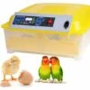 BETTER MAISON Automatique Intelligent 48 Oeufs Incubateur Poulet Canard Oeufs Hatcher 80W EU Prise - Jaune