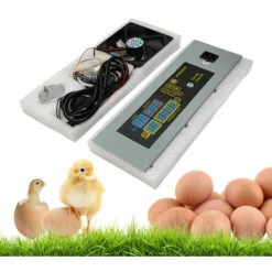 ASUPERMALL Htmc-5 Diy Mini Incubateur Controleur De Temperature Constante Oeufs Boite D'Incubation Accessoires 8 ASUPERMALL Htmc-5 Diy Mini Incubateur Controleur De Temperature Constante Oeufs Boite D'Incubation Accessoires -Polire Soldes Boutique 21352312 4