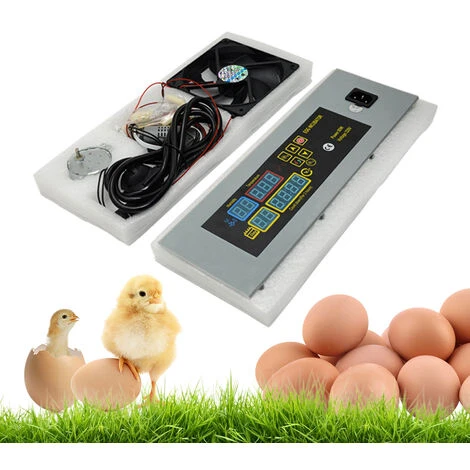 ASUPERMALL Htmc-5 Diy Mini Incubateur Controleur De Temperature Constante Oeufs Boite D'Incubation Accessoires 4 ASUPERMALL Htmc-5 Diy Mini Incubateur Controleur De Temperature Constante Oeufs Boite D'Incubation Accessoires – Image 4