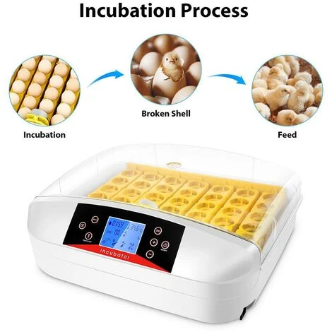 BETTER MAISON Oeufs Incubateur Numérique Automatique 32 Oeufs Pour Poulet Canards Oie Oiseau - Blanc 2 BETTER MAISON Oeufs Incubateur Numérique Automatique 32 Oeufs Pour Poulet Canards Oie Oiseau - Blanc – Image 2
