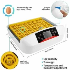 BETTER MAISON Oeufs Incubateur Numérique Automatique 32 Oeufs Pour Poulet Canards Oie Oiseau - Blanc 7 BETTER MAISON Oeufs Incubateur Numérique Automatique 32 Oeufs Pour Poulet Canards Oie Oiseau - Blanc -Polire Soldes Boutique 21675053 3