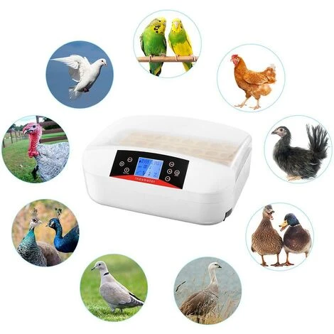 BETTER MAISON Oeufs Incubateur Numérique Automatique 32 Oeufs Pour Poulet Canards Oie Oiseau - Blanc 5 BETTER MAISON Oeufs Incubateur Numérique Automatique 32 Oeufs Pour Poulet Canards Oie Oiseau - Blanc – Image 5