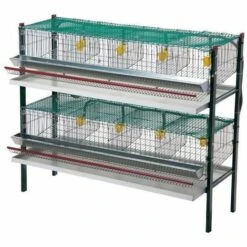 AVIMAC Cage Cailles Pondeuses 8 Compartiments