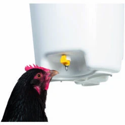 CHICK'A Abreuvoir Suspendu à Pipettes, 12 L - Blanc / Vert 5 CHICK'A Abreuvoir Suspendu à Pipettes, 12 L - Blanc / Vert -Polire Soldes Boutique 23546526 3