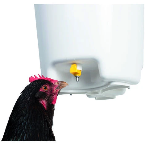 CHICK'A Abreuvoir Suspendu à Pipettes, 12 L - Blanc / Vert 3 CHICK'A Abreuvoir Suspendu à Pipettes, 12 L - Blanc / Vert – Image 3