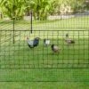 IDMARKET Kit Clôture Filet à Poules 12 M Avec Porte 6 Piquets Double Pointe