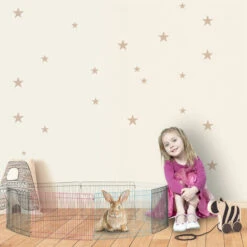 Relaxdays Cage Extérieur Lapin, 8 éléments, Pour Petits Animaux, Enclos Cochon D’inde, 24 Cm De Haut, Multicolore 7 Relaxdays Cage Extérieur Lapin, 8 éléments, Pour Petits Animaux, Enclos Cochon D’inde, 24 Cm De Haut, Multicolore -Polire Soldes Boutique 23970862 3