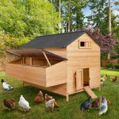 IDMARKET Poulailler Chalet 15 à 18 Poules Avec Pondoir En Bois - Naturel