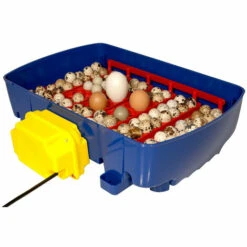 Couveuse Digitale BOROTTO 24 Oeufs Automatique -Polire Soldes Boutique 24995800 4