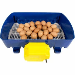 Couveuse Digitale BOROTTO 24 Oeufs Automatique -Polire Soldes Boutique 24995800 5