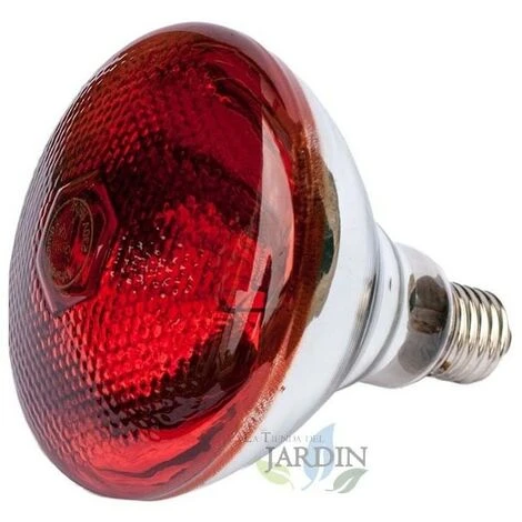 SUINGA Lampe à Ampoule Infrarouge 250W Pour Incubateurs Et Soins Aux œufs 2 SUINGA Lampe à Ampoule Infrarouge 250W Pour Incubateurs Et Soins Aux œufs – Image 2