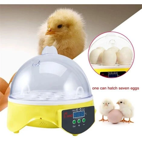 MERKMAK Couveuse Automatique Digital Incubateur Machine A Couver 7 Oeufs Poule 1 MERKMAK Couveuse Automatique Digital Incubateur Machine A Couver 7 Oeufs Poule