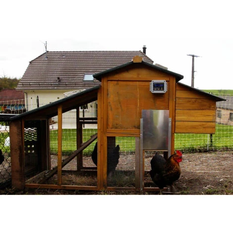 CHICK'A Portier Premium Pour Poulailler 5 CHICK'A Portier Premium Pour Poulailler – Image 5