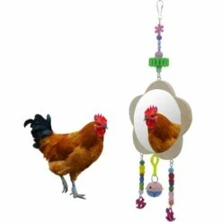 Perle Rare Fournitures De Poulet Pour Animaux De Compagnie Jouets Pour Oiseaux Miroir De Fleur De Prunier Miroir D'oiseau Incassable Grand Miroir Miroir De Poussin De Coq -Polire Soldes Boutique 29871882 3