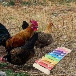 Betterlife Poulet Jouet Perroquet Jouet Xylophone Jouet 8 Clés Poulet Picorer Jouet Poulailler Picorer Jouet Jouets Pour Enfants= 7 Betterlife Poulet Jouet Perroquet Jouet Xylophone Jouet 8 Clés Poulet Picorer Jouet Poulailler Picorer Jouet Jouets Pour Enfants= -Polire Soldes Boutique 30051686 3