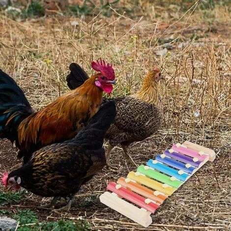 Betterlife Poulet Jouet Perroquet Jouet Xylophone Jouet 8 Clés Poulet Picorer Jouet Poulailler Picorer Jouet Jouets Pour Enfants= 3 Betterlife Poulet Jouet Perroquet Jouet Xylophone Jouet 8 Clés Poulet Picorer Jouet Poulailler Picorer Jouet Jouets Pour Enfants= – Image 3