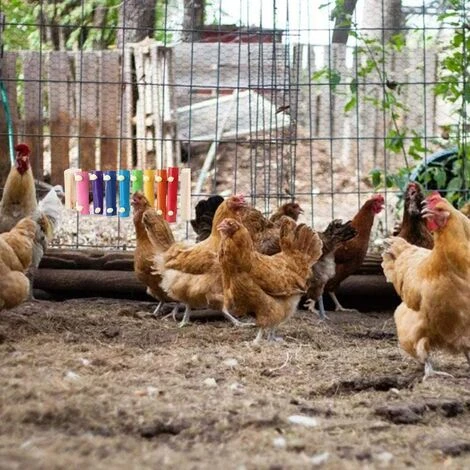 Betterlife Poulet Jouet Perroquet Jouet Xylophone Jouet 8 Clés Poulet Picorer Jouet Poulailler Picorer Jouet Jouets Pour Enfants= 4 Betterlife Poulet Jouet Perroquet Jouet Xylophone Jouet 8 Clés Poulet Picorer Jouet Poulailler Picorer Jouet Jouets Pour Enfants= – Image 4