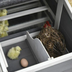 PawHut Poulailler Cottage Cage à Poules Surélevé Dim. 176L X 65l X 100H Cm Multi-équipement Toit Bitumé Noir Bois Sapin Gris Blanc - Gris 8 PawHut Poulailler Cottage Cage à Poules Surélevé Dim. 176L X 65l X 100H Cm Multi-équipement Toit Bitumé Noir Bois Sapin Gris Blanc - Gris -Polire Soldes Boutique 30202374 4