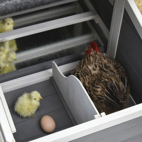 PawHut Poulailler Cottage Cage à Poules Surélevé Dim. 176L X 65l X 100H Cm Multi-équipement Toit Bitumé Noir Bois Sapin Gris Blanc - Gris 4 PawHut Poulailler Cottage Cage à Poules Surélevé Dim. 176L X 65l X 100H Cm Multi-équipement Toit Bitumé Noir Bois Sapin Gris Blanc - Gris – Image 4