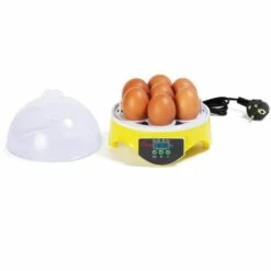 IDMARKET Couveuse Manuelle 7 Oeufs Incubateur Température Réglable -Polire Soldes Boutique 30320793 5