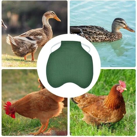 BETTERLIFE Tablier De Poulet À Sangle Unique/Gilet De Selle Protection De L'aile De Canard De Poule Vestes De Poulet Standard Tabliers De Poule Accessoires De Soins De Volaille 5pcs-vert 3 BETTERLIFE Tablier De Poulet À Sangle Unique/Gilet De Selle Protection De L'aile De Canard De Poule Vestes De Poulet Standard Tabliers De Poule Accessoires De Soins De Volaille 5pcs-vert – Image 3