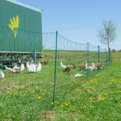 HORIZONT Filet Volaille Non électrifié 50 M, H 1.2 M - Vert 8 HORIZONT Filet Volaille Non électrifié 50 M, H 1.2 M - Vert -Polire Soldes Boutique 30810825 4