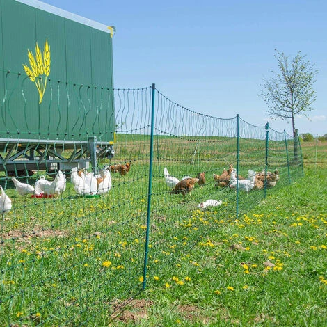 HORIZONT Filet Volaille Non électrifié 50 M, H 1.2 M - Vert 4 HORIZONT Filet Volaille Non électrifié 50 M, H 1.2 M - Vert – Image 4
