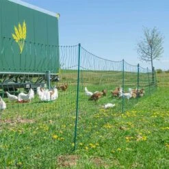 HORIZONT Filet Volaille Non électrifié 25m, H 1.2m - Vert -Polire Soldes Boutique 30866504 5