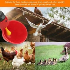 AIDUCHO 10 PCS Abreuvoir Poules Abreuvoir à Poulet En Plastique Automatique Abreuvoir à Volaille Kit Distributeur D'eau Potable Bols Systèmes D'alimentation En Eau Pour Cailles D'oiseaux Pigeon Poulet -Polire Soldes Boutique 32752418 3