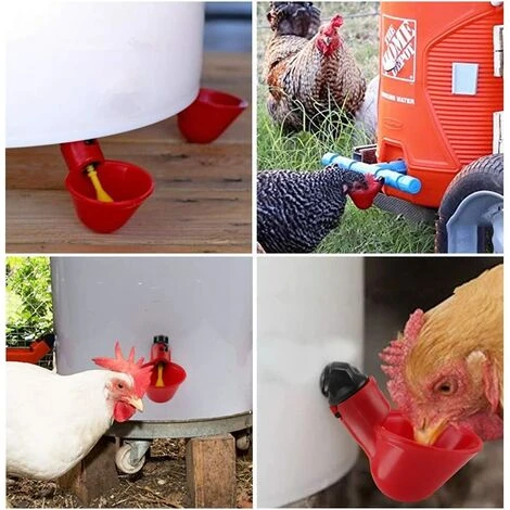 AIDUCHO 5pcs Volaille Automatique Abreuvoir Portable Distributeur D'eau Tasse Bol D‘Eau En Plastique Buveur D'eau Pour Oiseau Caille Pigeon Poulet Poule(25mm) 4 AIDUCHO 5pcs Volaille Automatique Abreuvoir Portable Distributeur D'eau Tasse Bol D‘Eau En Plastique Buveur D'eau Pour Oiseau Caille Pigeon Poulet Poule(25mm) – Image 4
