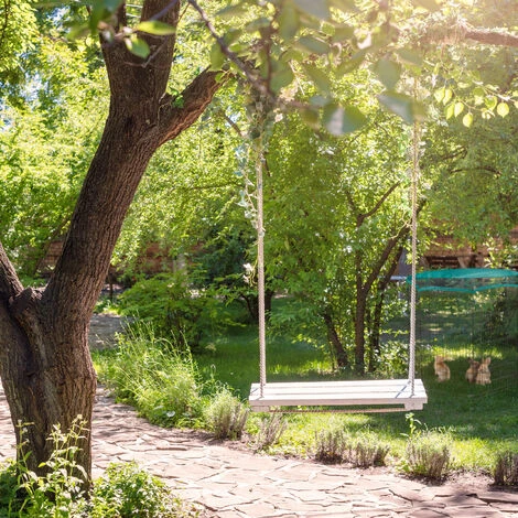 Relaxdays Enclos, Pliable, Avec Couvercle, Lapins, Cochons D’inde, Intérieur Et Extérieur, élevage, S, Noir 5 Relaxdays Enclos, Pliable, Avec Couvercle, Lapins, Cochons D’inde, Intérieur Et Extérieur, élevage, S, Noir – Image 5