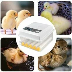 MERKMAK Incubateur Oeufs Couveuse A Oeuf Automatique Pour Volaille, Caille, Oie Canard, Pigeon, Reptile - 16 Oeufs -Polire Soldes Boutique 33768962 5